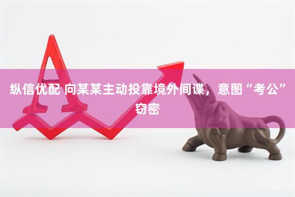 纵信优配 向某某主动投靠境外间谍，意图“考公”窃密