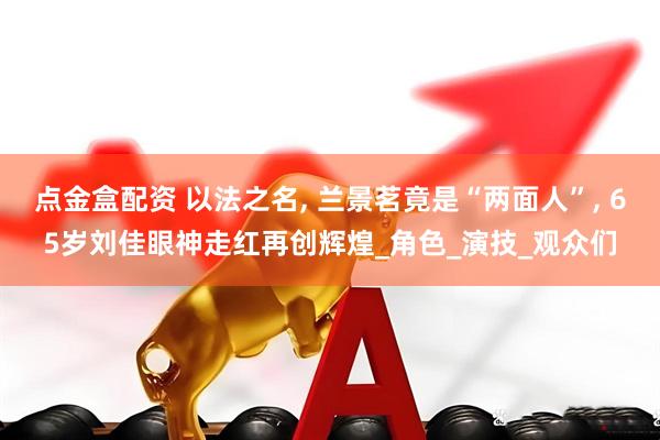 点金盒配资 以法之名, 兰景茗竟是“两面人”, 65岁刘佳眼神走红再创辉煌_角色_演技_观众们