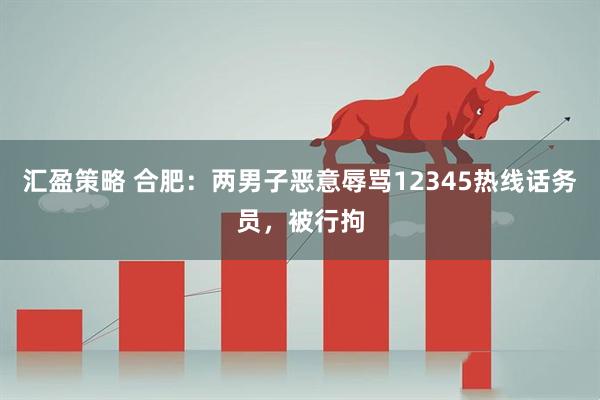 汇盈策略 合肥：两男子恶意辱骂12345热线话务员，被行拘