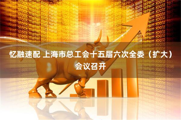 忆融速配 上海市总工会十五届六次全委（扩大）会议召开