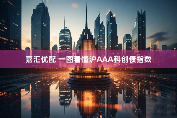 嘉汇优配 一图看懂沪AAA科创债指数